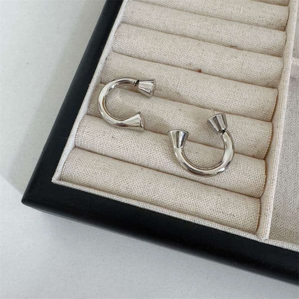 High-end Metal Copper Platinum-plated Hoop Designer Jewelry S Sier Needle Niche Personality Temperament Fashion Versatile Earrings