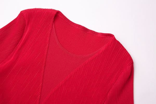 (20) Mesh dress Spring and autumn women's clothing Round neck long sleeve knee-length dress