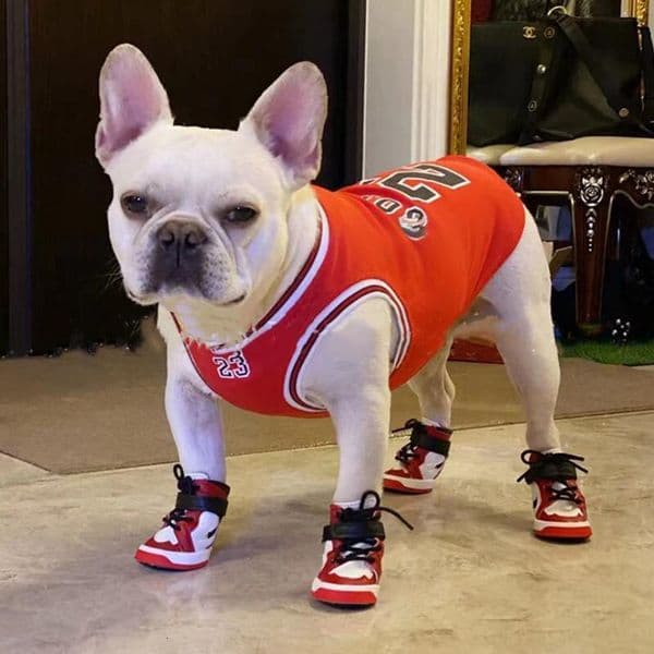Dog Boots Shoes Dog Shoes Small Dog Boots Paw Protectors for Hardwood Floors Dog Booties for Hot Pavement Winter Snow Hiking Waterproof Dog Shoes with Straps L