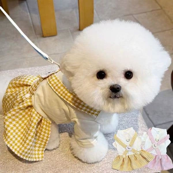 Luxury Summer Thin Fake Two-Piece Pocket Sweatshirt To Prevent Hair Loss For Pets Teddy Bears cat And Small Dogs dog Free Shipping