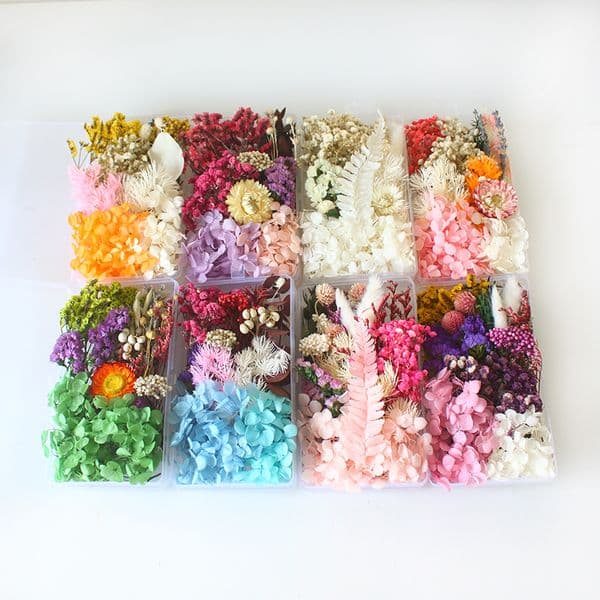 Natural Plant Dried Flower Material Kit DIY Handmade Holiday Cards Mother's Day Christmas Gifts Decorations