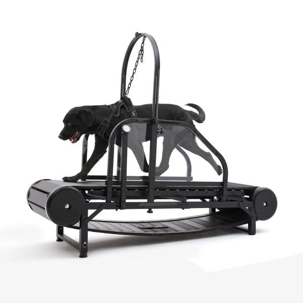 Larger Dog Non-electric Equipment Apparel Heavy Duty Pet Running Fiess Treadmill Walking hine Unpowered Run Tools For Dogs