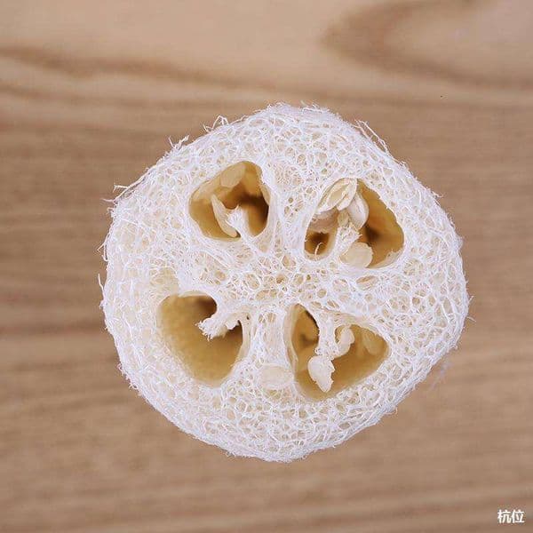 5 Pieces Silk Massage Scrub Bath Pan Brush Bowl Natural Silk Gourd Skin Segments