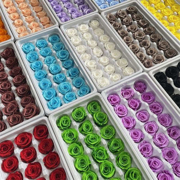 21pcs/Box DIY 2-3cm Eternal Roses Natural Preserved Flowers Immortal Rose Mothers Day Gift Wedding Decoration Drop Decorative Flowers & Wreaths LT1607
