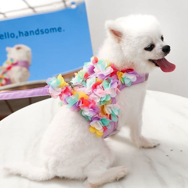 Adjustable Cat Walking Rope with Anti-Breakout I-Shaped Chest Strap - Flower Design