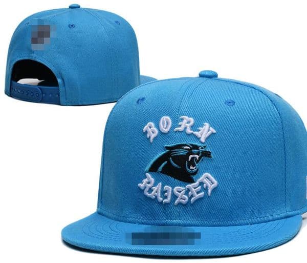 2025 Panthers Baseball SF 49 Unisex Fashion Cotton Super bowl Champions Ball Cap Baseball Snapback for Men Women Sun Hat Bone Embroidery Spring Cap Wholesale b16