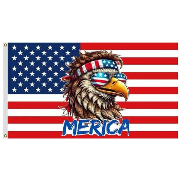 3x5ft 4th of July American Flag, 100D Polyester with 2 Brass Grommets, Double-Stitched Vivid Banner for Bedroom Study Dining Room Outdoor Decor Outdoor Sports 0062