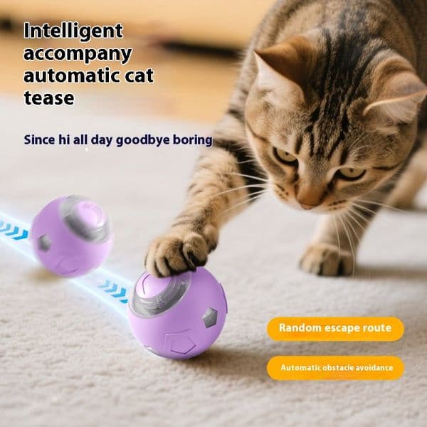 Automatic Moving Cats Toy Interactive Ball Rechargeable Rolling Electric Ball Home Pet Accessories Things for Supplies