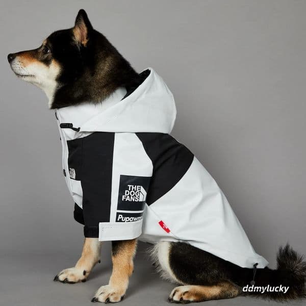 Autumn Winter Coat, Waterproof Dog With Leash Hole, Windproof Warm Outdoor Jacket Adjustable Hood Zipper Closure For Small To Large Dogs White XXXL A303 Ddmylucky