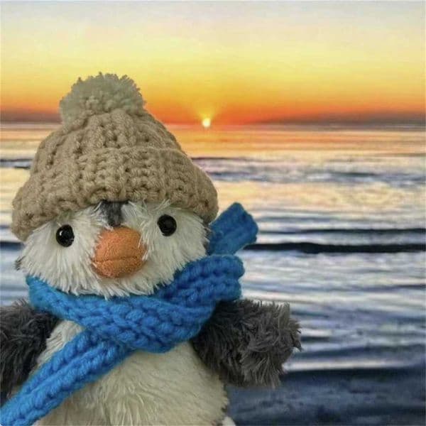 Christmas Gift 50% Peanut Penguin Plush Toy JCA Doll Cute Internet Celebrity Gift JE Black Friday sale