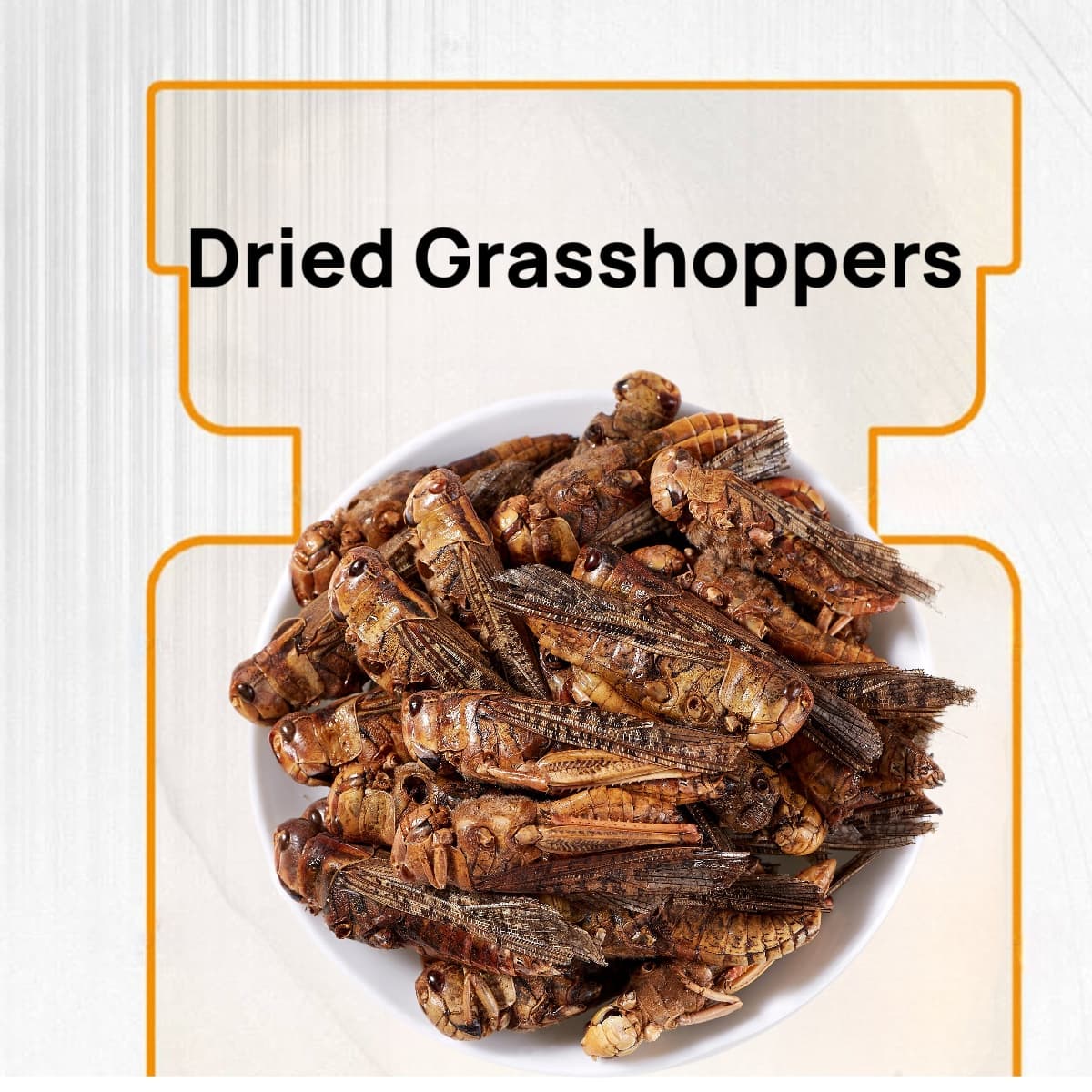 TEMU Dried For Bearded Dragons High Protein Reptile & Bird Food, 1lb Resealable Bag For Bearded Dragons, Lizards, Hedgehogs, Hamsters Dried Insect