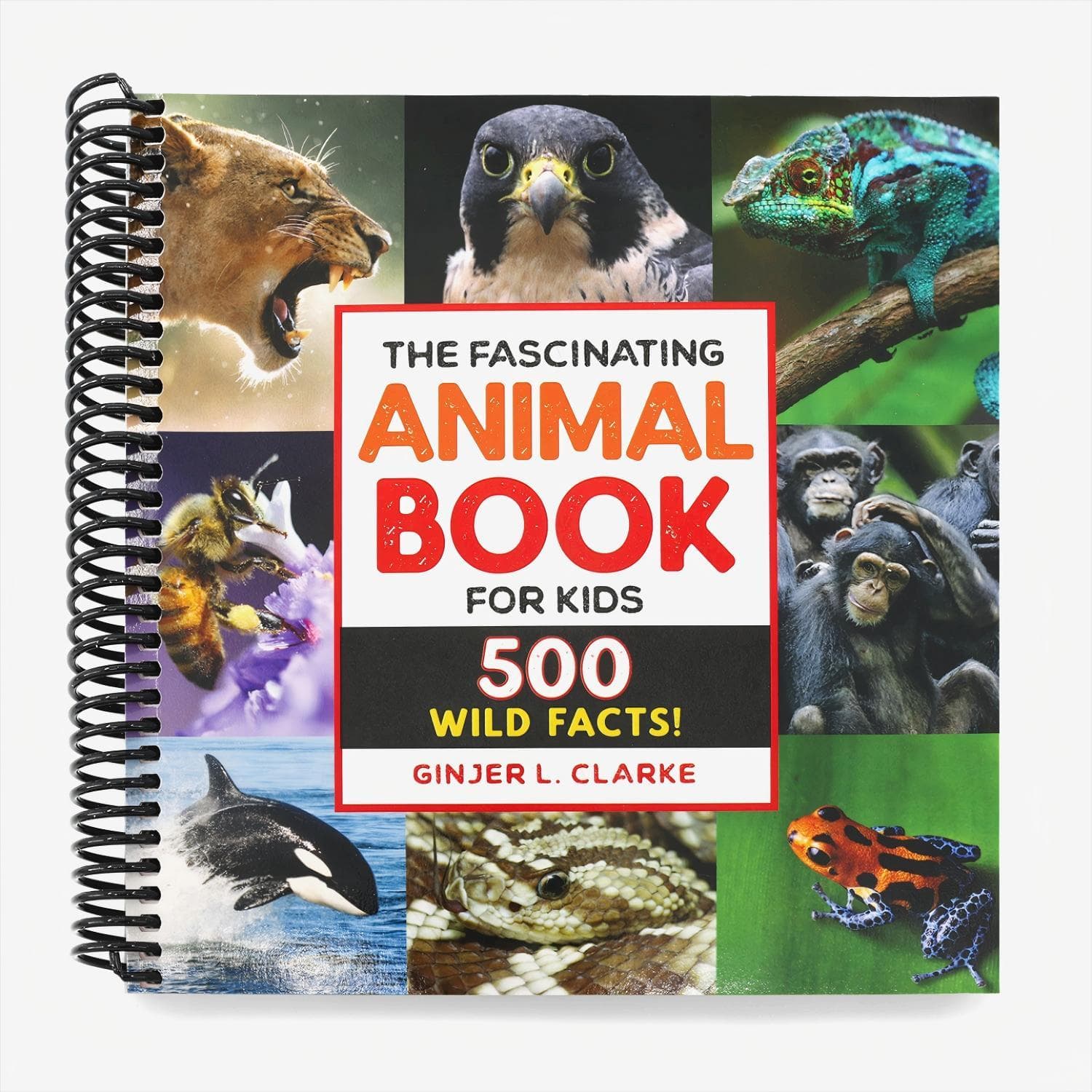 TEMU The Fascinating Animal Book For Kids: 500 Wild Facts! (fascinating Facts) (spiral-bound)
