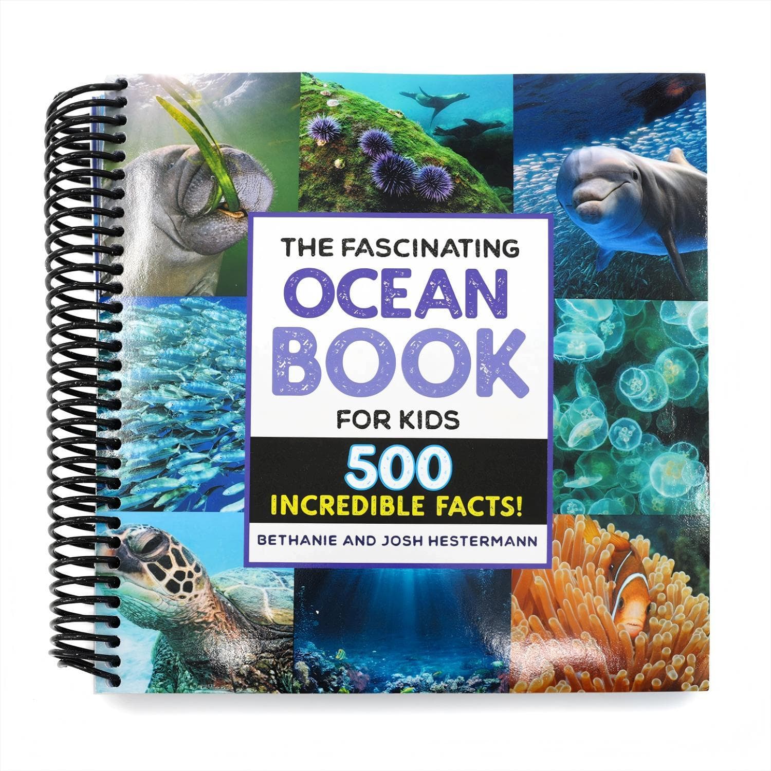 TEMU The Fascinating Ocean Book For Kids: 500 Incredible Facts! (fascinating Facts) Spiral-bound Bethanie Hestermann And Josh Hestermann