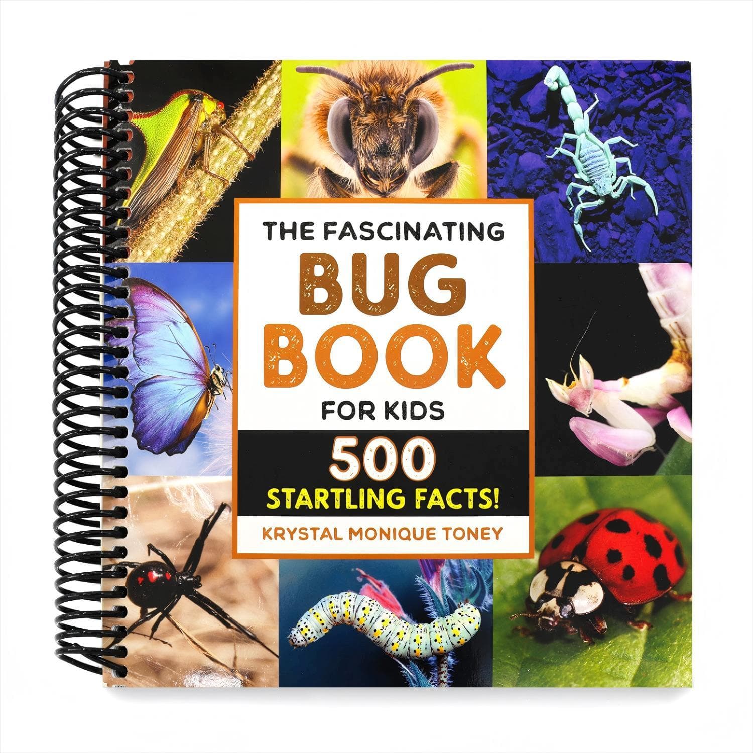 TEMU The Fascinating Bug Book For Kids: 500 Startling Facts! (spiral-bound)