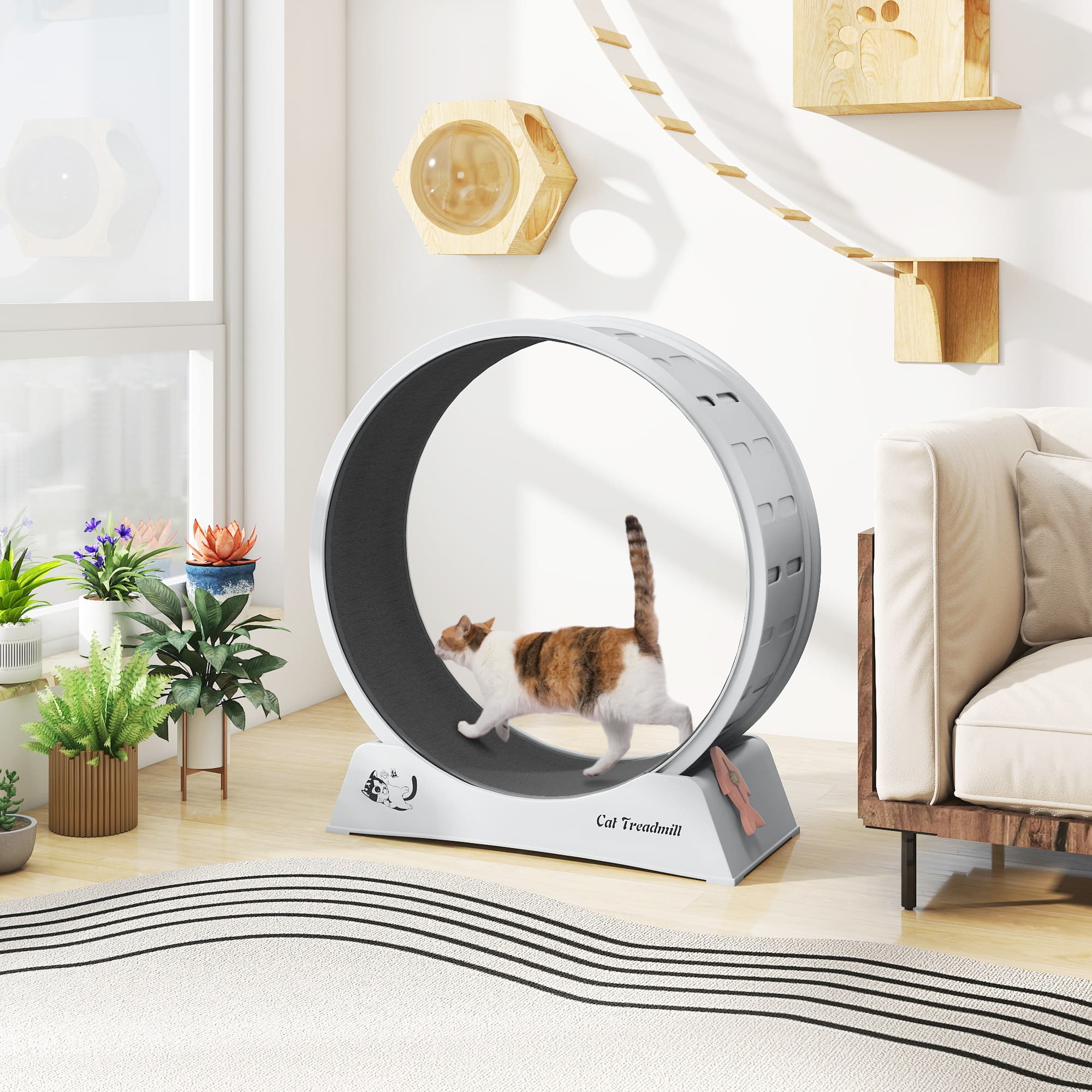 TEMU Cat Wheel For Indoor Cats Large Exercise Running Wheel Cat Treadmill With Brake & Carpeted , & Fitness & Health