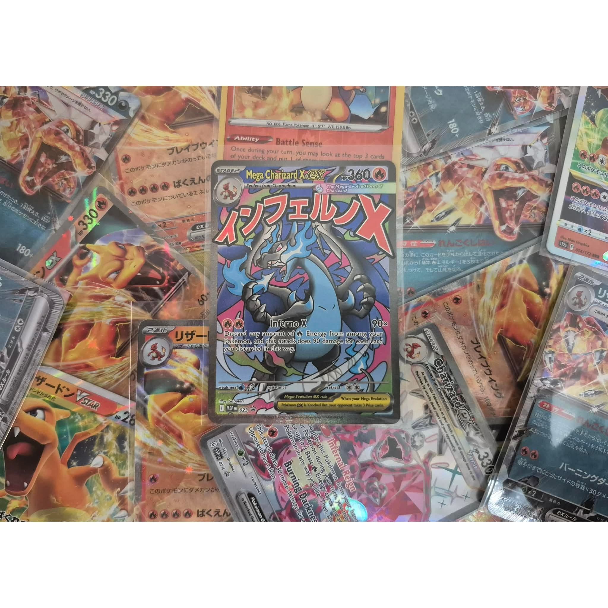 TEMU Starter Bundle ( !)
