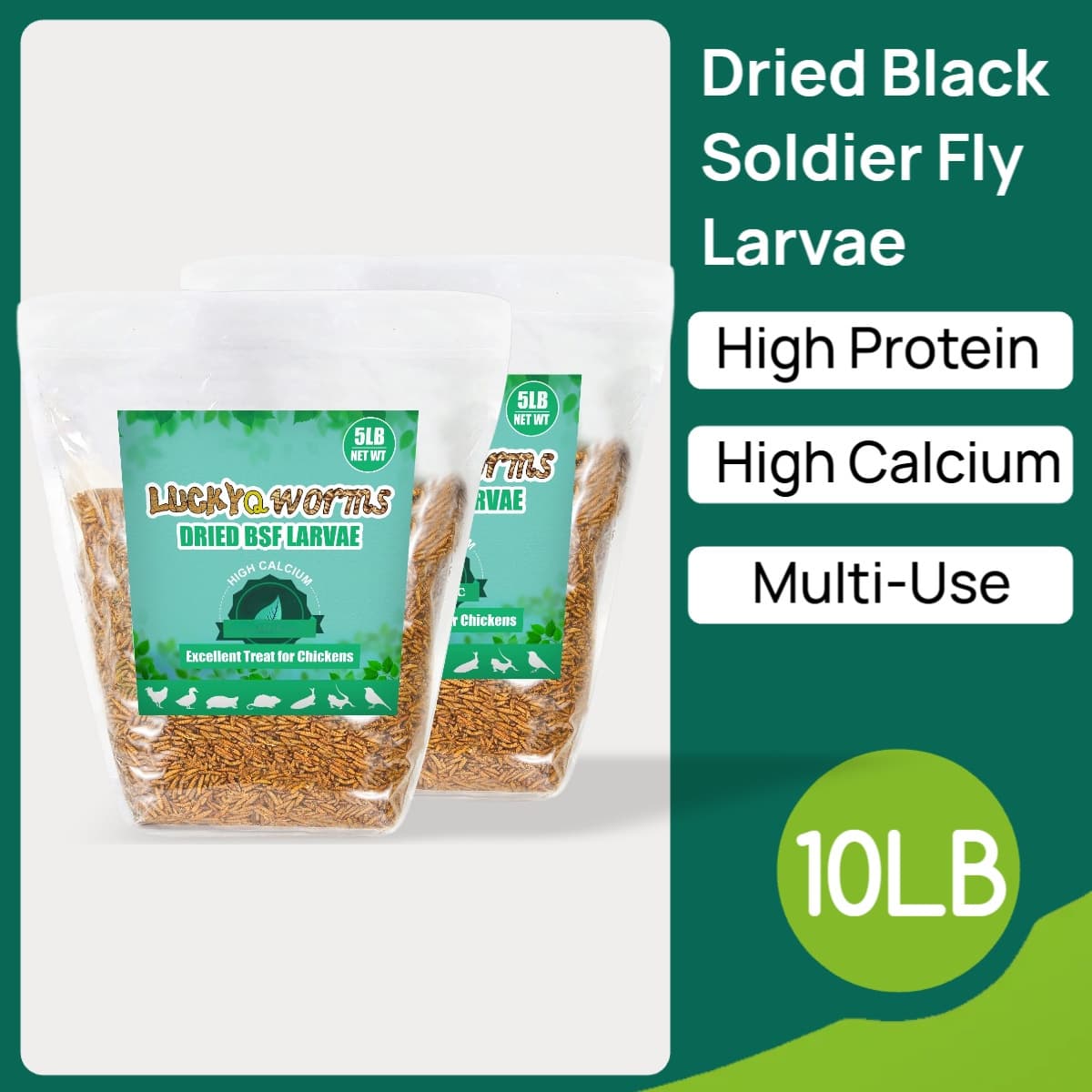 TEMU Dried Fly - High Protein High Grubs, Chicken Treats For Layers Chicks Ducks Turtles Quail