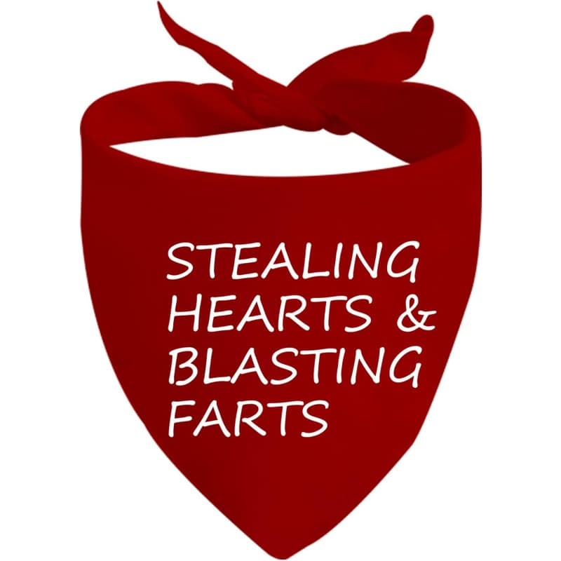 TEMU 1pc 24.8×11 Inch / Be / Stealing Hearts Dog Bandana (hearts & Blasting D)