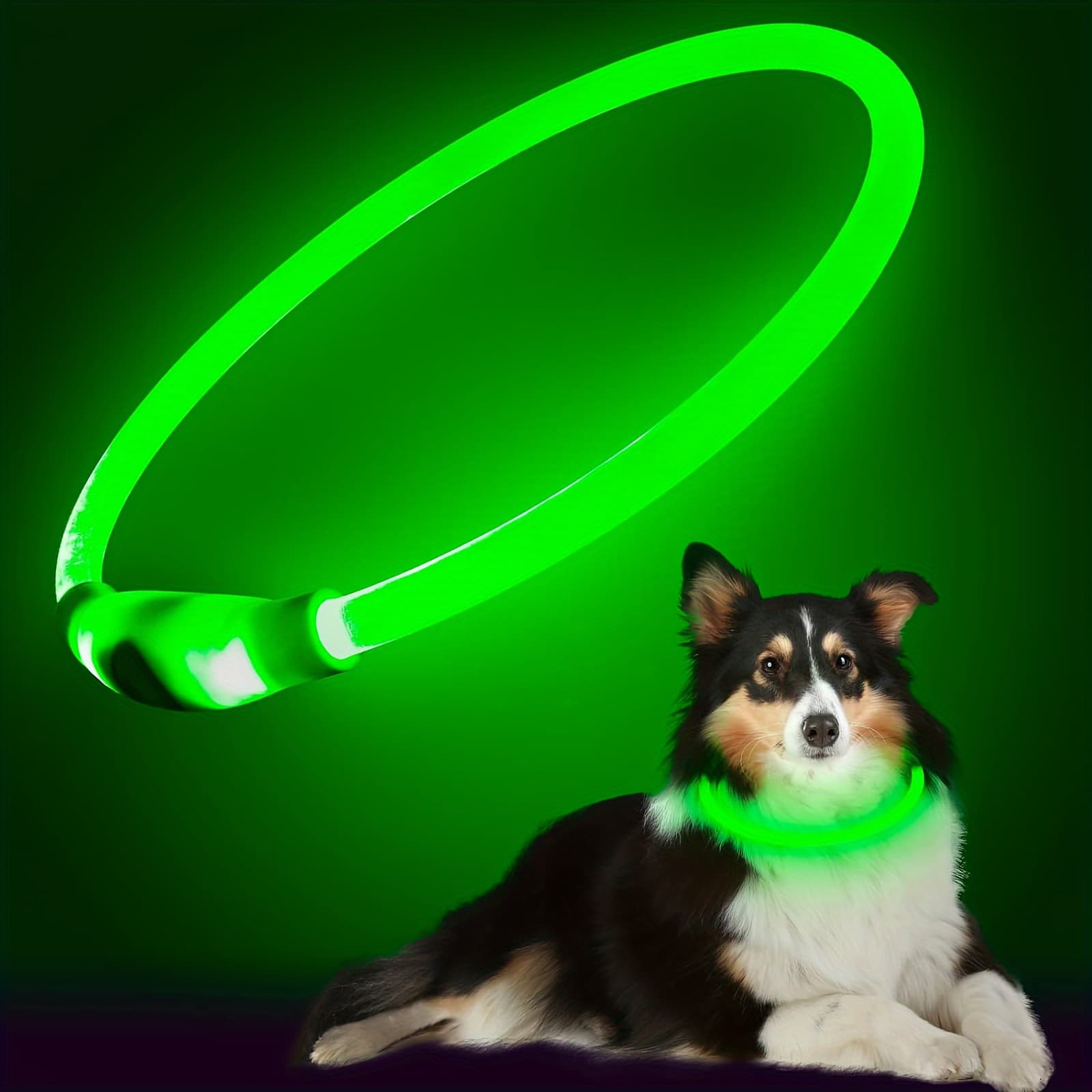 TEMU Pet Dog Led Light Collar Luminous Anti-lost Dog Collar Usb Rechargeable Dog Necklace Collar