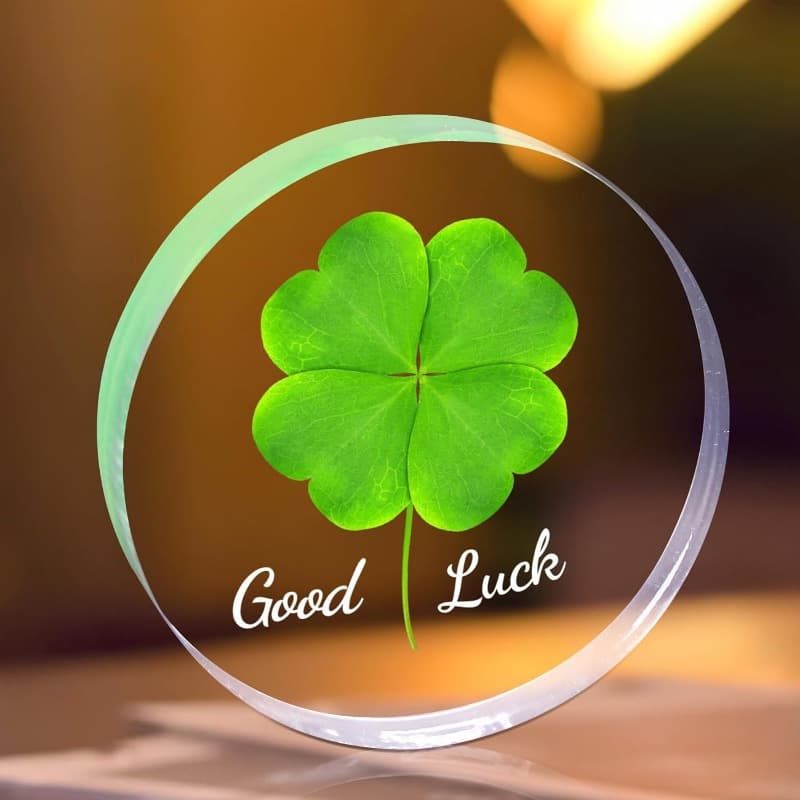 TEMU Gifts For Women, Men, , Positive Motivational Gift, Good Luck Paperweight For Desk Decoration (clover)