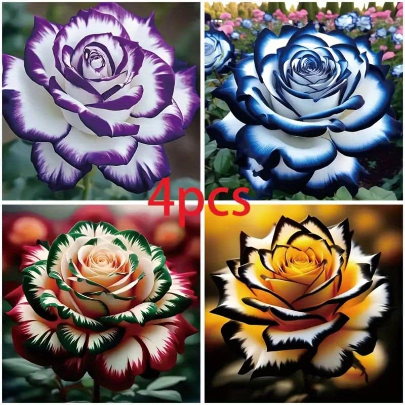 TEMU 4pcs Diamond Painting Set, Rose Theme Round Acrylic Mosaic , Creative Diy Handmade Gift And Holiday Birthday Decoration