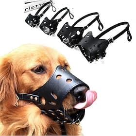 Prodotti per cani collare Collari di addestramento per cani Anti corteccia Sicurezza Tinta unita Punk