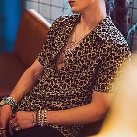 Homme Léopard Chemise Chemise boutonnée Manche Courte Sportif Mode Design du quotidien Vacances Eté Printemps Col rabattu Imprimer Marron