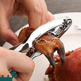Ensemble de casse-noix en acier inoxydable avec aiguille à crabe - noyer durable et résistant à la rouille ouvre-noix pour toutes les noix - gadget de cuisine