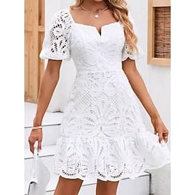 Women's Mini Dress White Lace Dress Eyelet Dress Vacation Casual Daily Regular Fit Graphic Short Sleeve V Neck White Summer