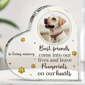Personalized Acrylic Heart Pet Memorial Plaque, Custom Dog Photo Block and Paw Print Keepsake, Sympathy Gift for Pet Loss, Tabletop Decor for Valentine's Day,