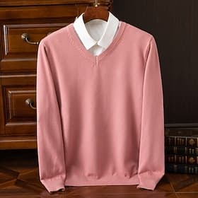 Homme Pull Pull Tricoté Côtelé Tricoter Hauts Réguliers Tricoté Uni Col en V Mode Basique Vacances Tenue quotidienne Vêtement Tenue Automne Hiver Chameau Vin S