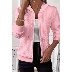 Women's Shirt Zipper Solid Color Graphic Elegant Vintage Cute Long Sleeve Hooded Regular Tops Daily Work Holiday Blue White Pink Orange Spring Fall Winter Spri