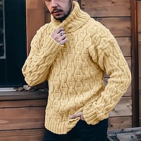Voor heren Kabelgebreide trui Trui Kabel breien Normale tops Gebreid Strakke pasvorm Effen Coltrui Gebreid Hedendaagse Casual Alledaagse kleding Kleding Herfst
