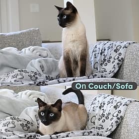 Premium Soft Dog Blanket Washable Cat Blanket for Indoor Cats Large Medium Small Dog Puppy Essentials