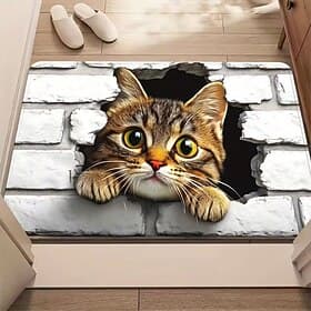 3D Optical Illusion Doormat Visual Trap Floor Mat Non Slip Water Absorbing for Bathroom Shower Entryway Indoor Outdoor Diatomaceous Earth Quick Dry Absorbent 2