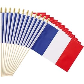 Lot de 25 petits drapeaux français à main sur bâtonnet (12,7 x 20,3 cm) pour la Coupe du monde de football, les événements sportifs, les décorations de fête et