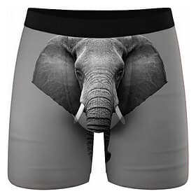 Herren Tiermotiv Elefant Dehnbare Boxershorts Badeshorts Boxer-Badeshorts Hawaiianisch Lässig Heim Strandurlaub Elastischer Bund Feuchtigkeitsableitend Atmungs