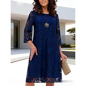 Femmes Robe Longueur Genou Robe en Dentelle Robe de Soirée Robe de Cocktail Élégant Plage Soirée Mariage Coupe régulière Uni Demi Manches Col en V Bleu Rouge É