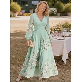 Women's Maxi Dress Chiffon Dress Floral Dress Print Dress Elegant Fashion Modern Outdoor Vacation Holiday Regular Fit Floral Long Sleeve V Neck Light Green Pin