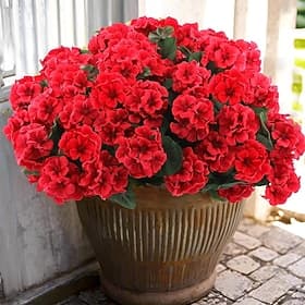 6 Bundles Artificial Geranium Fake Flowers for Outdoors Decoration, Silk Geraniums Flower UV Resistant Look Real Faux Plants for Front Door Garden Porch Plante