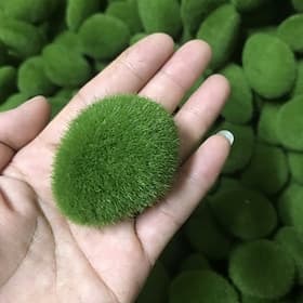 20pcs Dense Artificial Moss Green Grass Mini Decorations - Micro Landscape Figurines, Suitable for Fairy Gardens, Aquariums, and Outdoor Spaces - Enhance Natur