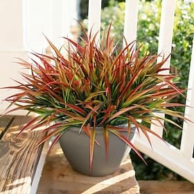 Lot de 12 plantes artificielles d'extérieur, gazon artificiel en plastique résistant aux UV, décoration printanière, tiges et arbustes pour jardinières, terras