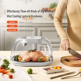 Décongelateur électrique pour viande et aliments surgelés, appareil de décongélation rapide avec technologie de refroidissement par brumisation, préserve la fr
