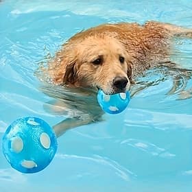 Balle flottante pour chien, balle de chasse dans l'eau, balle interactive pour chien pour la piscine d'été - balle flottante en caoutchouc thermoplastique à mo