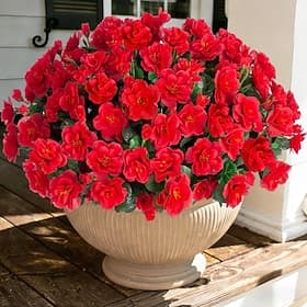 Lot de 6 bouquets de fleurs artificielles (azalées) pour la décoration printanière extérieure. Camélias jaunes en soie artificielle, résistants aux UV, aspect