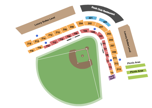Long Island Ducks vs. Hagerstown Flying Boxcars